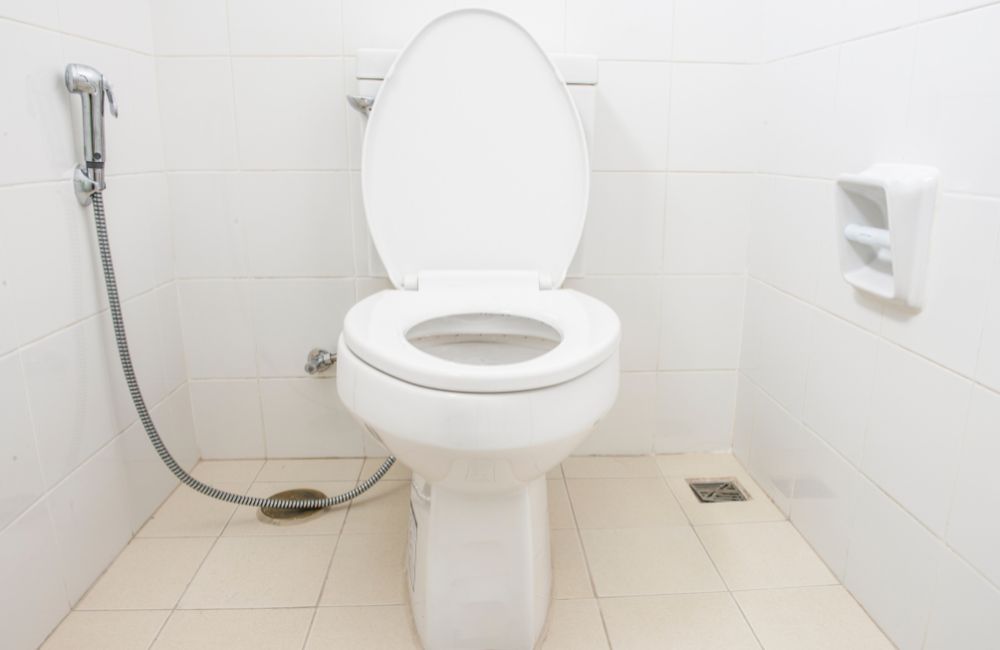What Are the Common Toilet Problems?